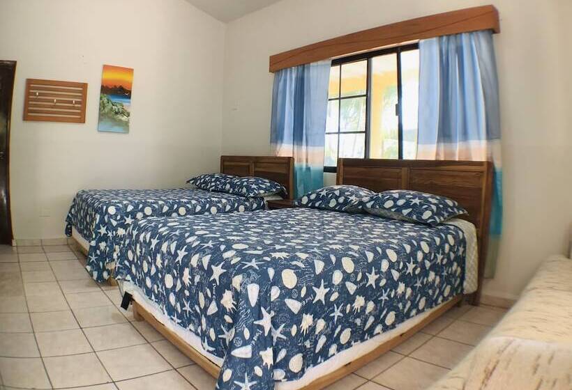 سوییت خانوادگی, Viña Del Mar Omoa