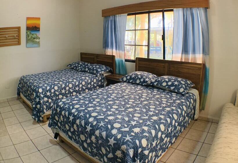 سوییت خانوادگی, Viña Del Mar Omoa