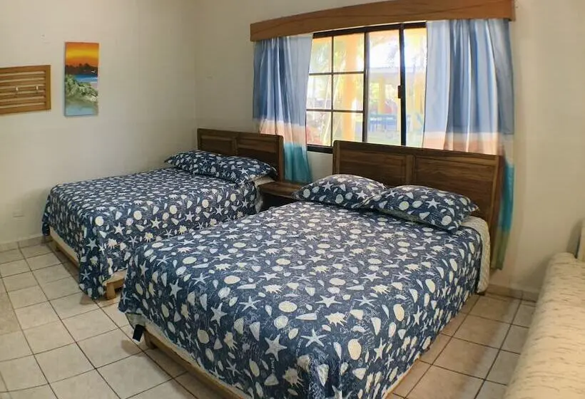 سوییت خانوادگی, Viña Del Mar Omoa