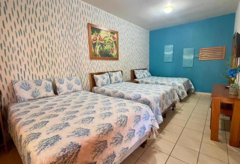 اتاق استاندارد سه نفره, Viña Del Mar Omoa