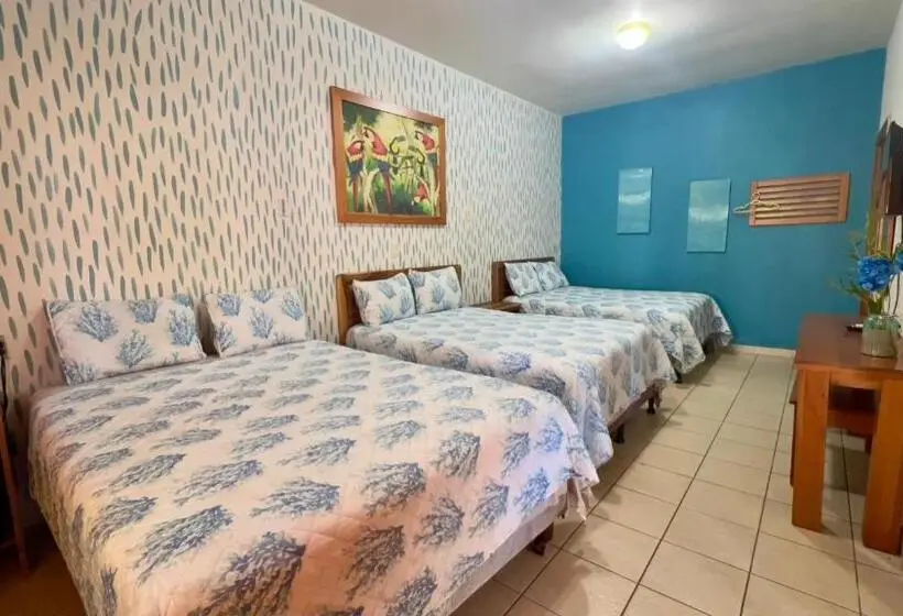 اتاق استاندارد سه نفره, Viña Del Mar Omoa