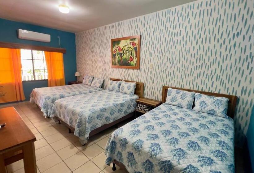 اتاق استاندارد سه نفره, Viña Del Mar Omoa