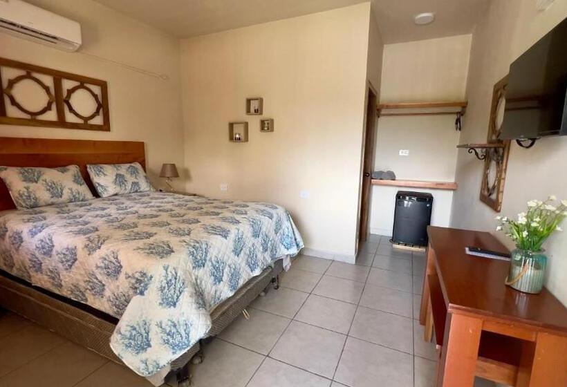 اتاق استاندارد, Viña Del Mar Omoa