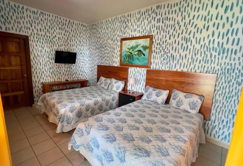 اتاق لوکس, Viña Del Mar Omoa