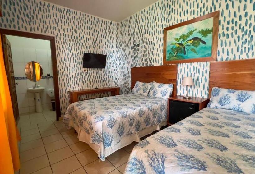 اتاق لوکس, Viña Del Mar Omoa