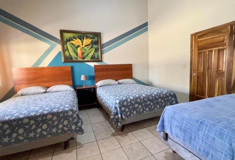 اتاق لوکس, Viña Del Mar Omoa