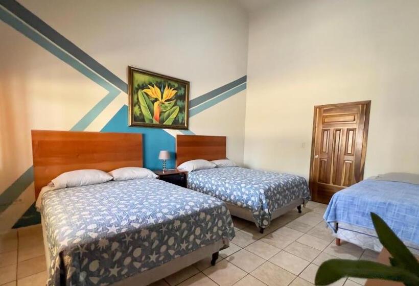 اتاق لوکس, Viña Del Mar Omoa