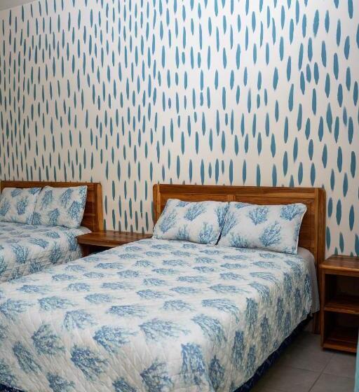 اتاق لوکس, Viña Del Mar Omoa