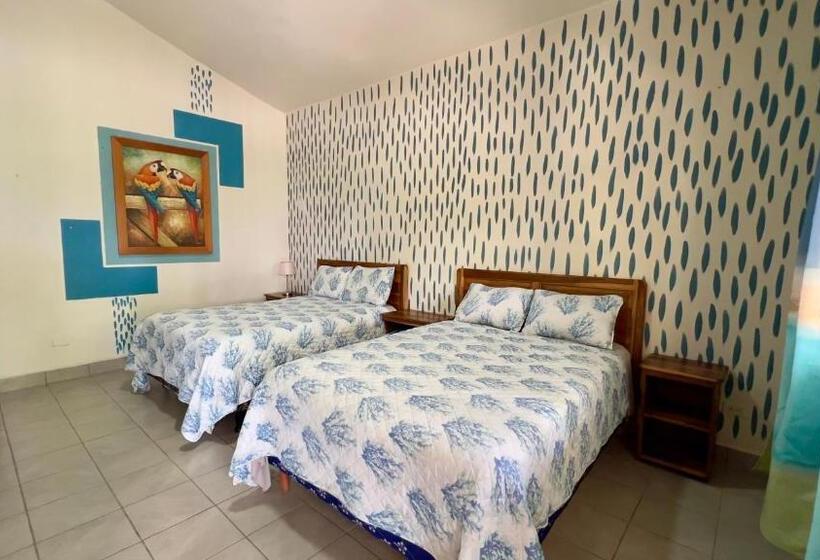 سوییت خانوادگی, Viña Del Mar Omoa