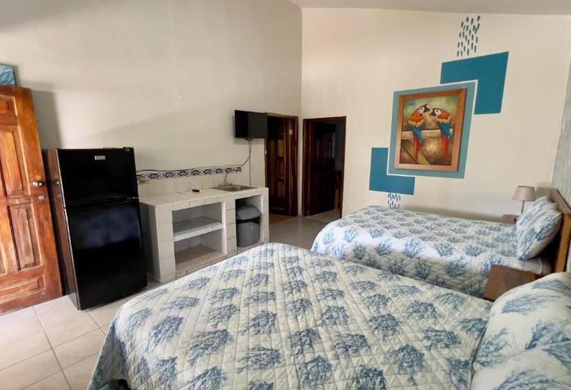 سوییت خانوادگی, Viña Del Mar Omoa