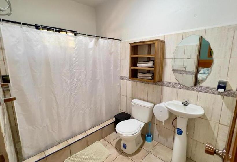 اتاق لوکس با تخت بزرگ, Viña Del Mar Omoa