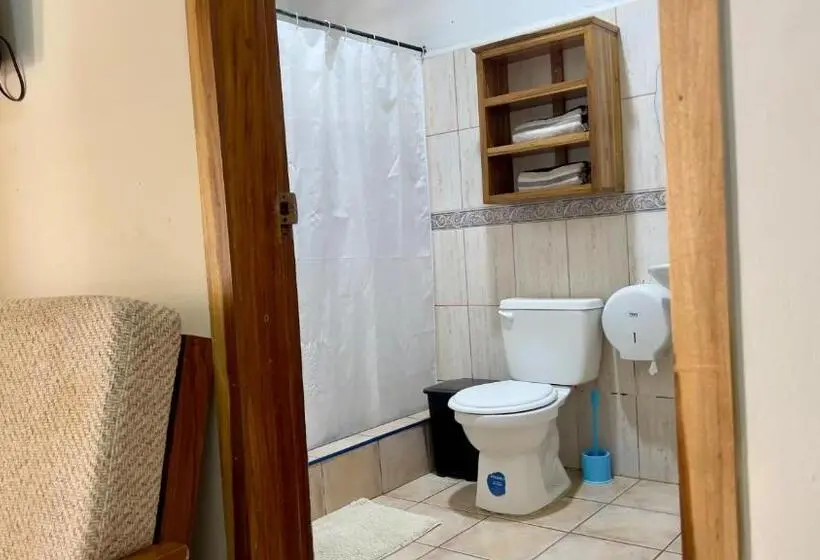 اتاق لوکس با تخت بزرگ, Viña Del Mar Omoa