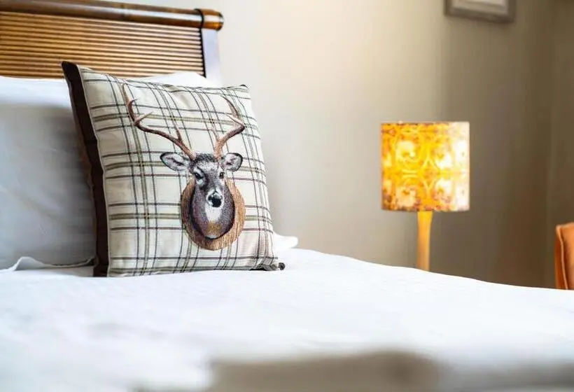 اتاق لوکس با تخت بزرگ, Sleepy Puffin Guest House