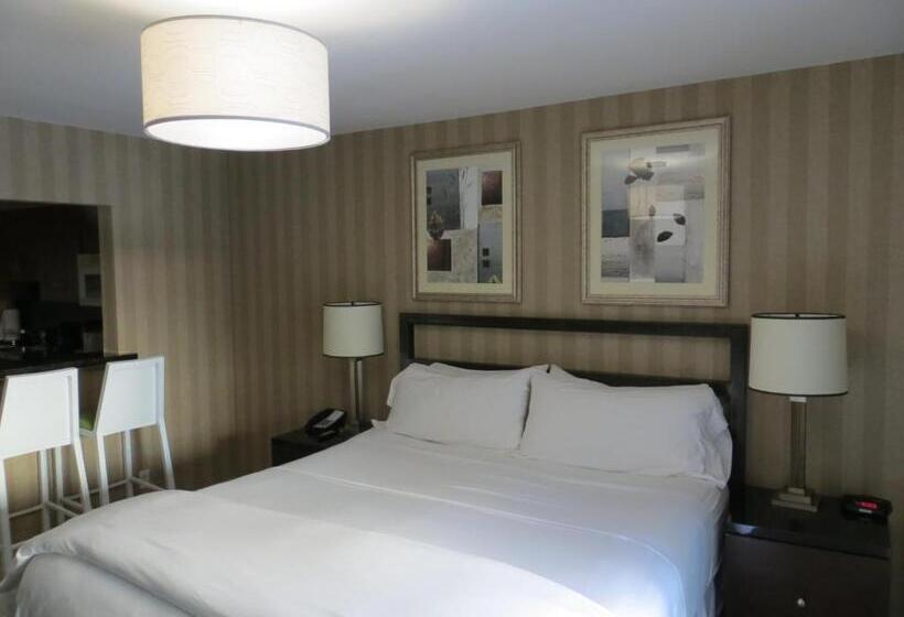 Студио Стандарт Кровать Кинг, 7 Springs Inn & Suites