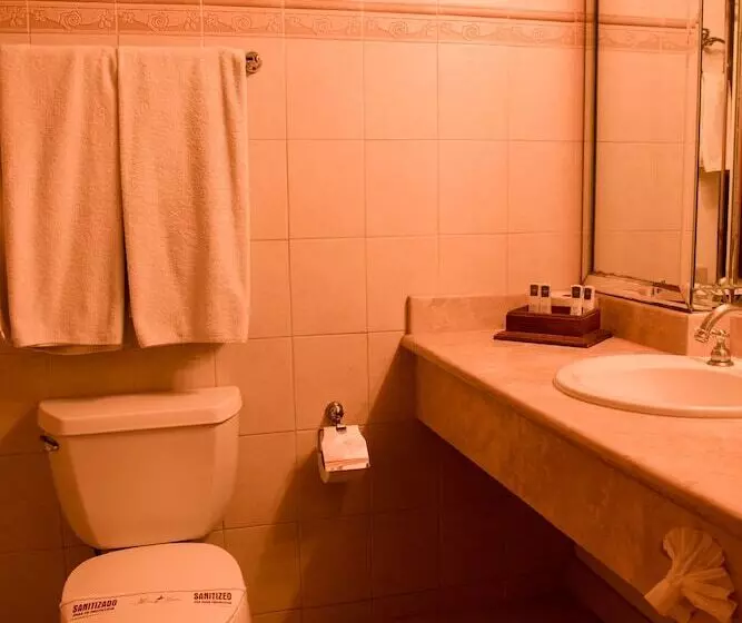 اتاق اجرایی, Business Hotel & Suites María Bonita