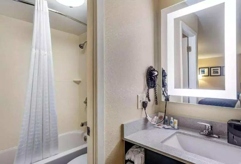 اتاق استاندارد با تخت بزرگ, Comfort Inn Nashville Opryland Area