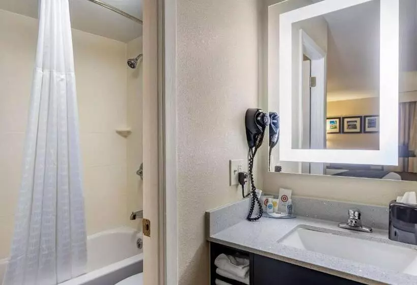 اتاق استاندارد با تخت بزرگ, Comfort Inn Nashville Opryland Area