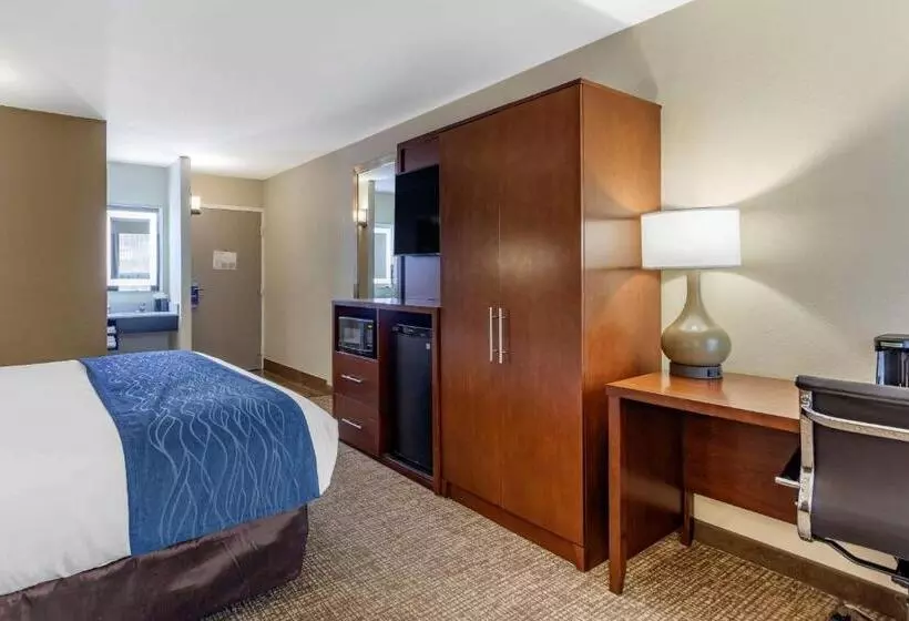 اتاق استاندارد با تخت بزرگ, Comfort Inn Nashville Opryland Area
