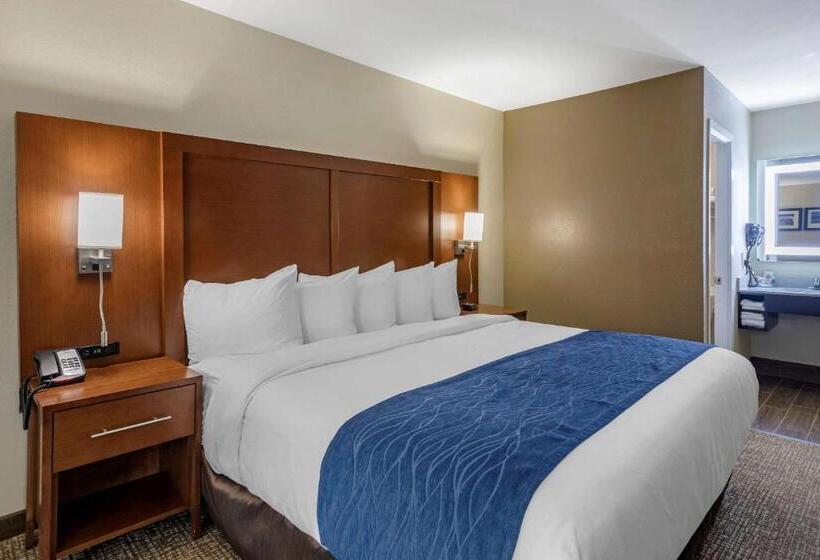 اتاق استاندارد با تخت بزرگ, Comfort Inn Nashville  Opryland Area