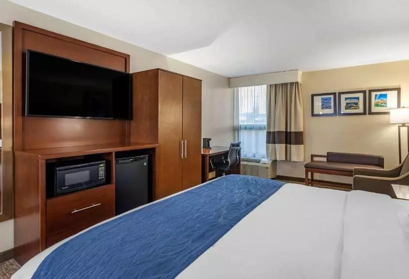 اتاق استاندارد با تخت بزرگ, Comfort Inn Nashville Opryland Area