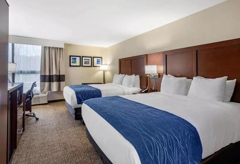 اتاق استاندارد, Comfort Inn Nashville Opryland Area