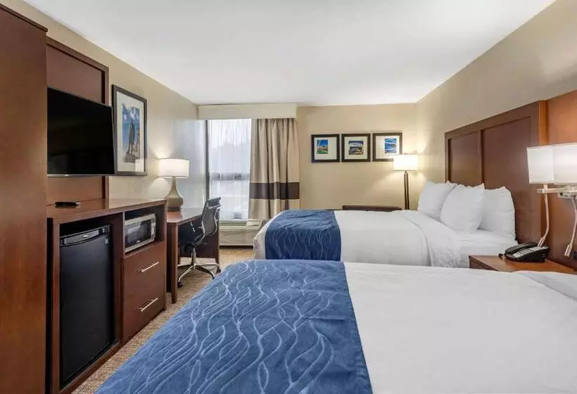 اتاق استاندارد, Comfort Inn Nashville Opryland Area