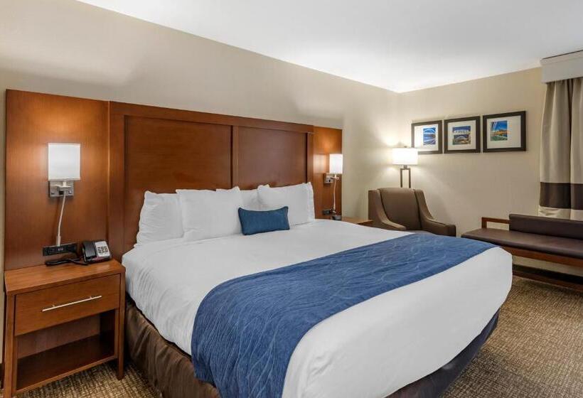 اتاق استاندارد با تخت بزرگ برای معلولان, Comfort Inn Nashville  Opryland Area