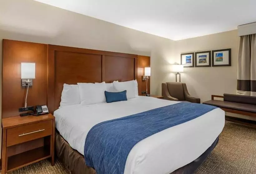 اتاق استاندارد با تخت بزرگ برای معلولان, Comfort Inn Nashville Opryland Area