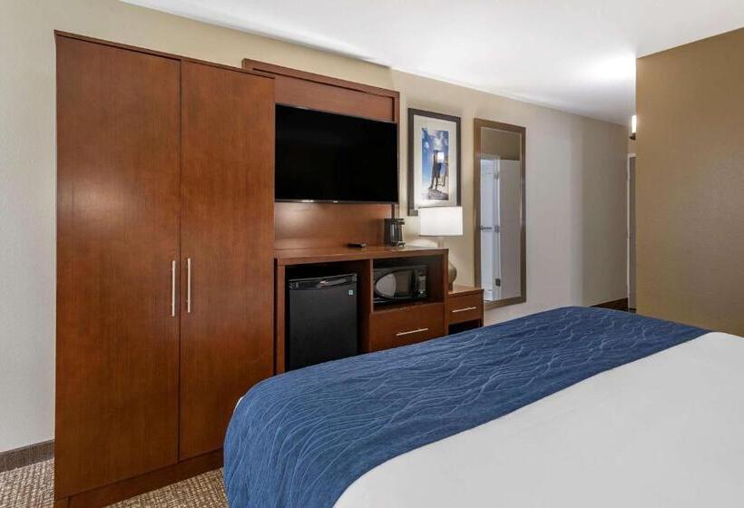 Pokój Typu Standard Łóżko King Przystosowany dla Osób Niepełnosprawnych, Comfort Inn Nashville  Opryland Area