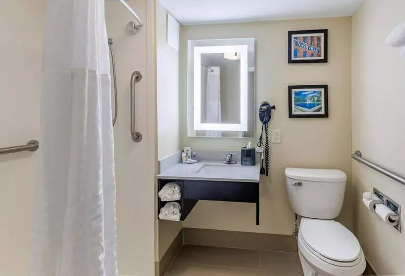 اتاق استاندارد با تخت بزرگ برای معلولان, Comfort Inn Nashville Opryland Area