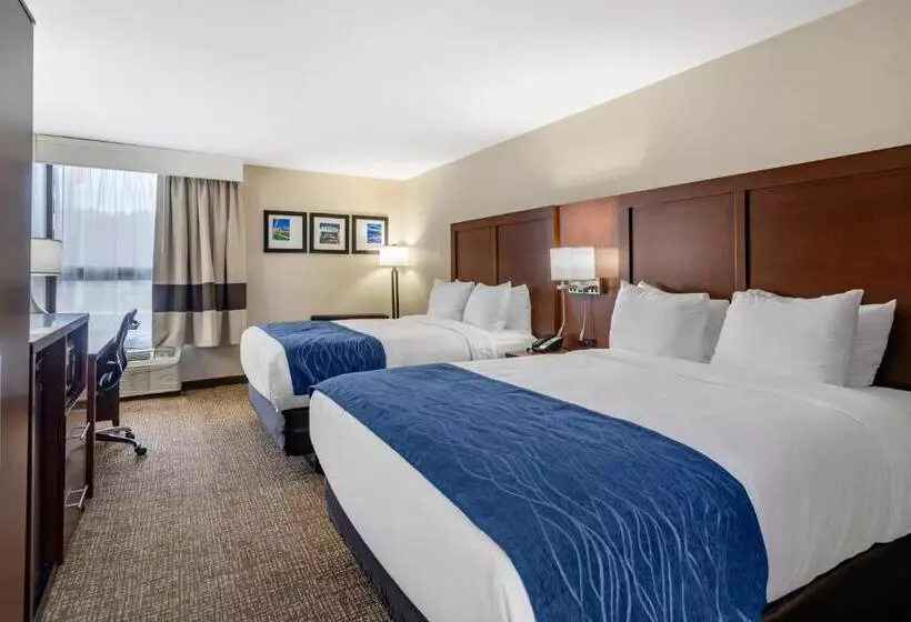 اتاق استاندارد برای معلولان, Comfort Inn Nashville Opryland Area