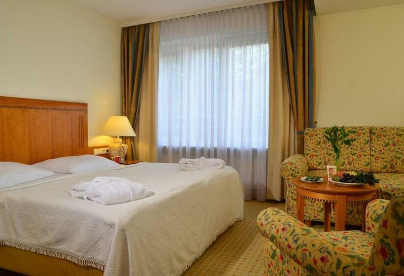 اتاق سوپریور, Domicil Berlin By Golden Tulip