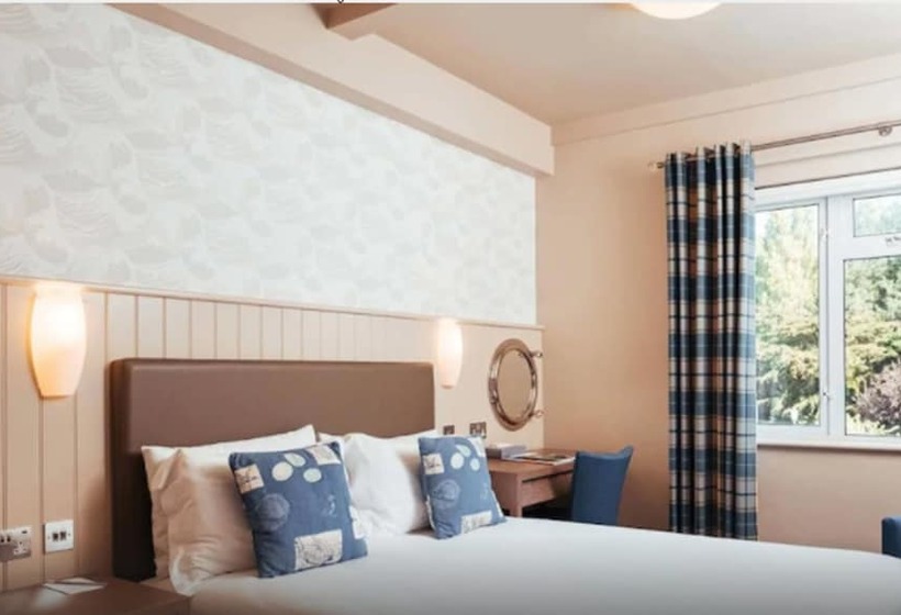 اتاق استاندارد یک نفره, Golden Sands