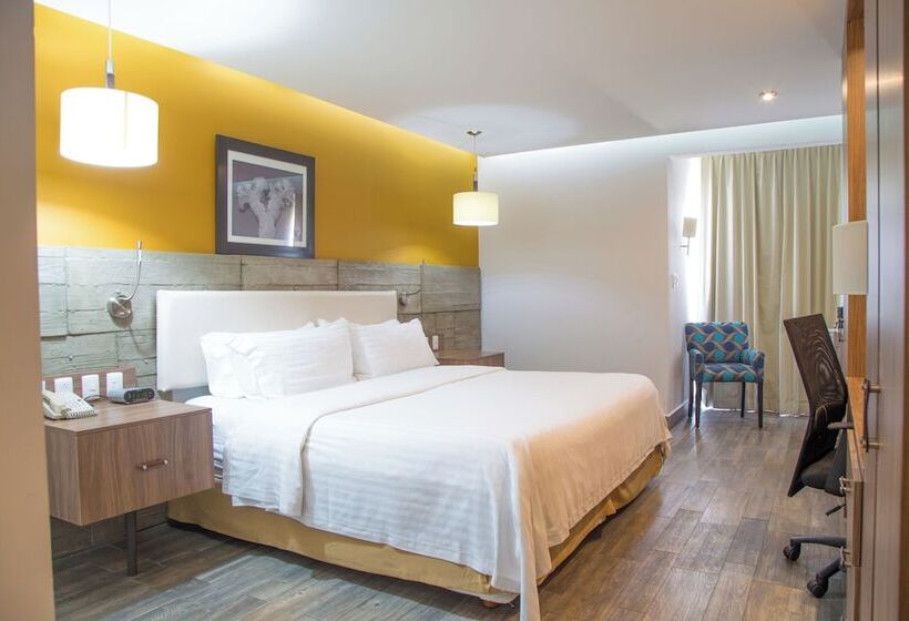 스탠다드 룸, Voco Hermosillo, An Ihg