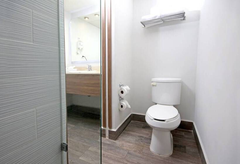 스탠다드 룸 더블 침대 2개, Voco Hermosillo, An Ihg