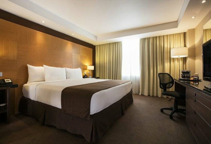 スタンダードルーム, Krystal Urban Aeropuerto Ciudad De Mexico