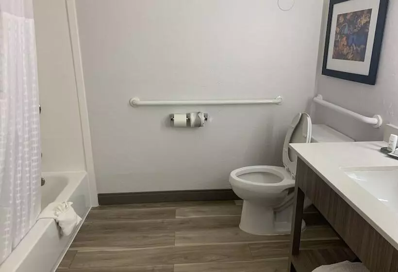 デラックスルーム, La Quinta By Wyndham Okc North   Quail Springs