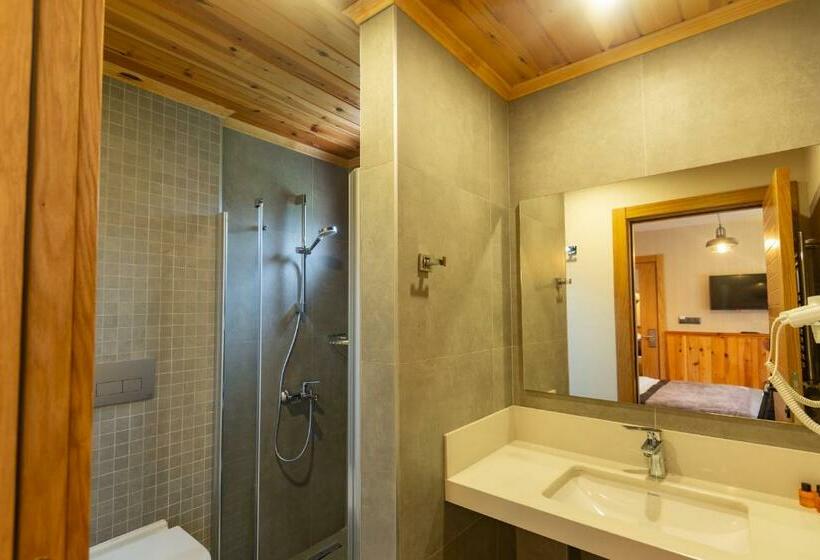 اتاق لوکس با بالکن, Ayder Koru