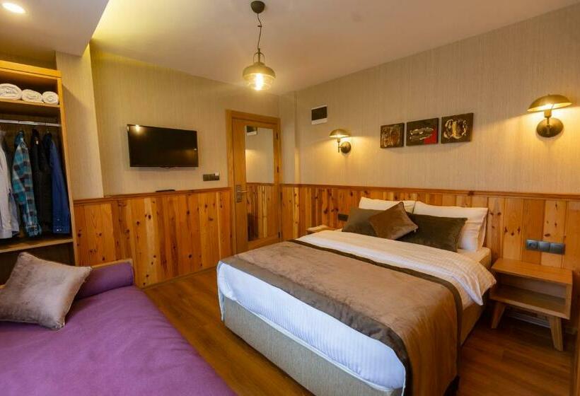 اتاق لوکس با بالکن, Ayder Koru