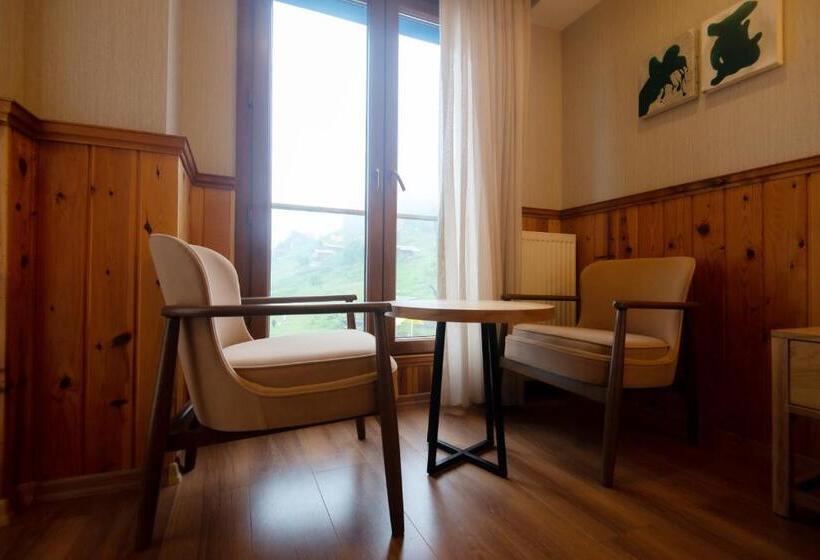 اتاق لوکس با بالکن, Ayder Koru