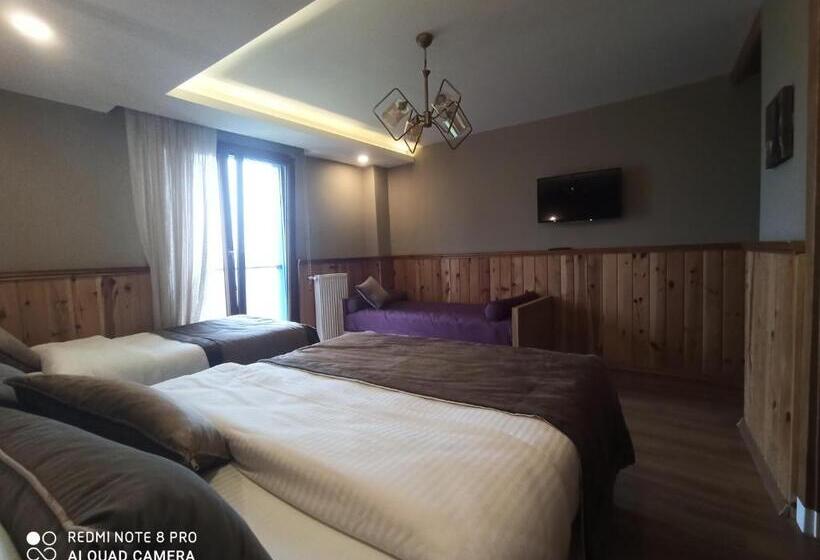 اتاق استاندارد چهار تخته, Ayder Koru