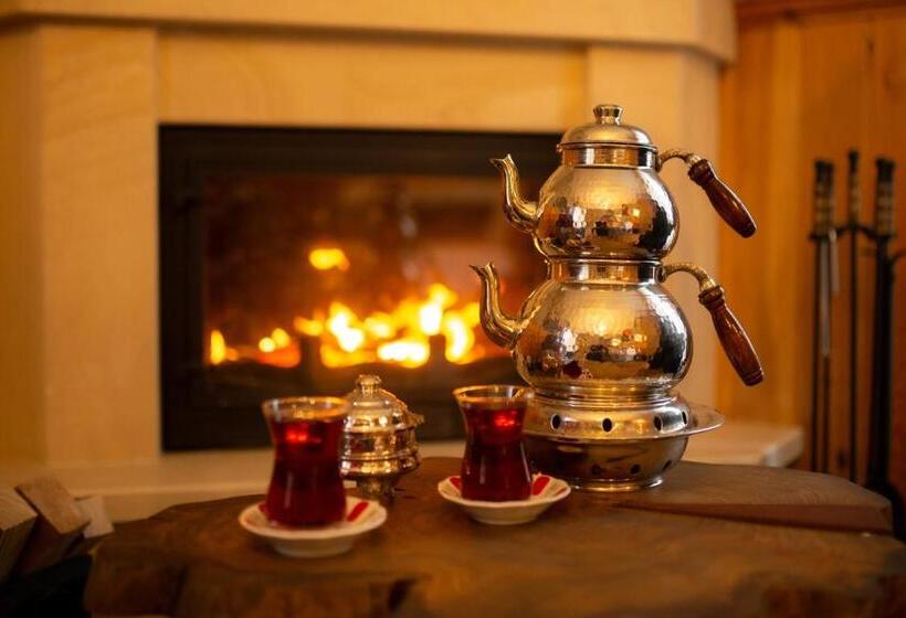 اتاق لوکس, Ayder Koru