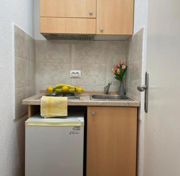 استودیو استاندارد با تراس, Jelić Apartmani