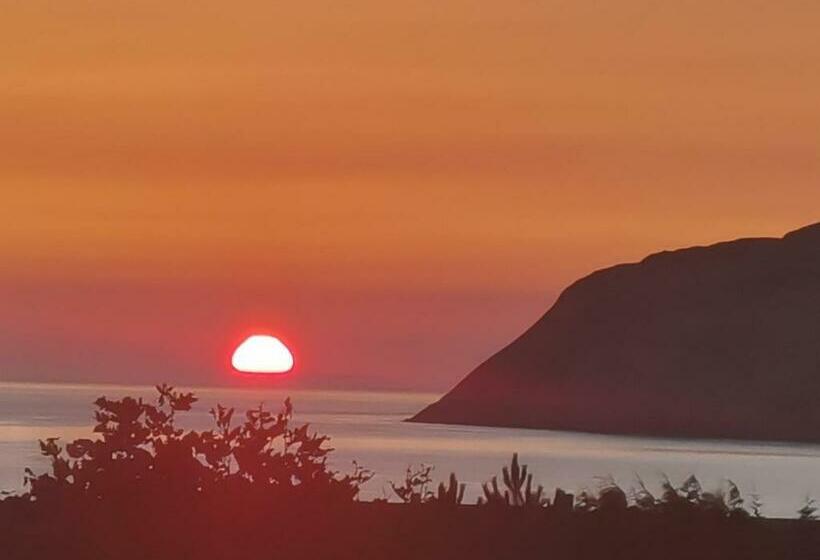 Номер Стандарт, Bron Orme Private