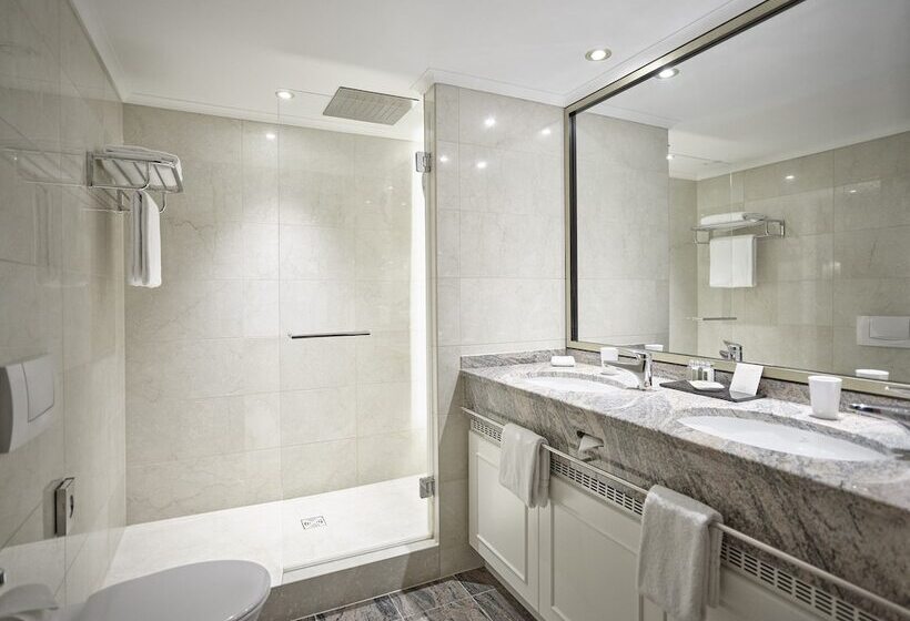 带观景的豪华间, Falkenstein Grand Autograph Collection