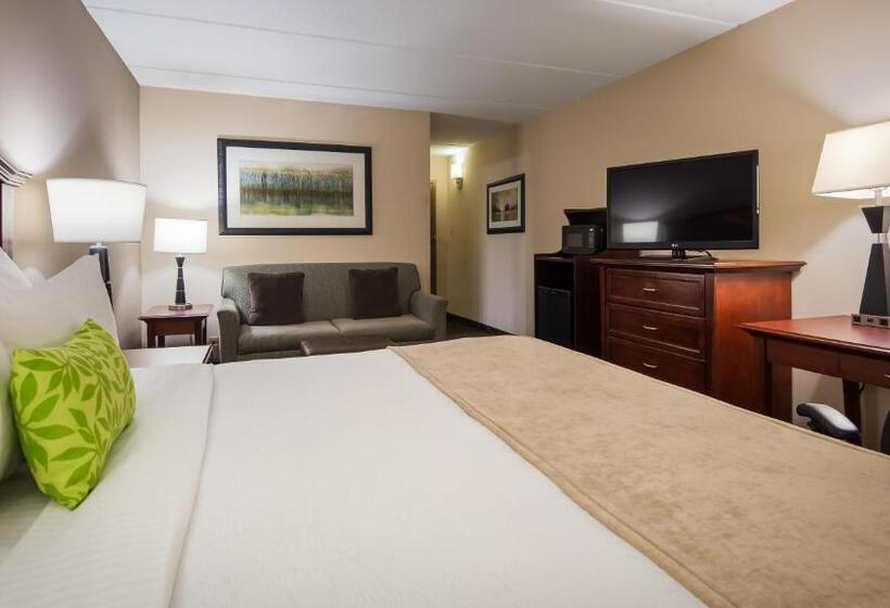 غرفة قياسية سرير كينج, Best Western Plus Willmar