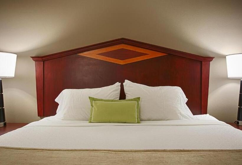Номер Стандарт Кровать Кинг Адаптированный для Инвалидов, Best Western Plus Willmar