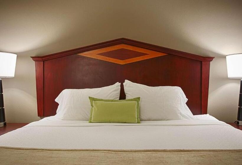 غرفة قياسية سرير كينج لذوى الإحتياجات الخاصة, Best Western Plus Willmar