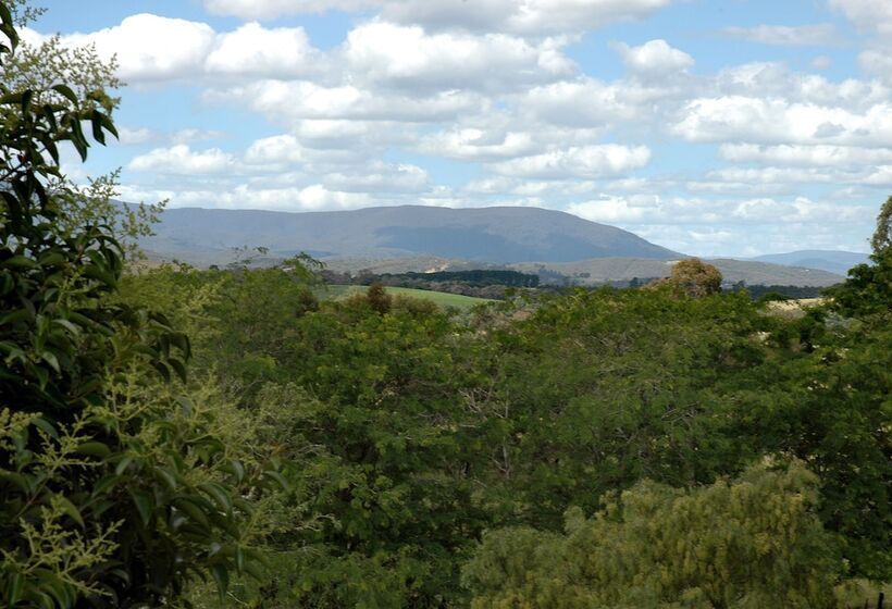 Люкс, Chateau Yering