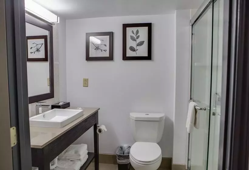 Standard-huone King-vuode, Country Inn & Suites By Radisson, Harlingen, Tx